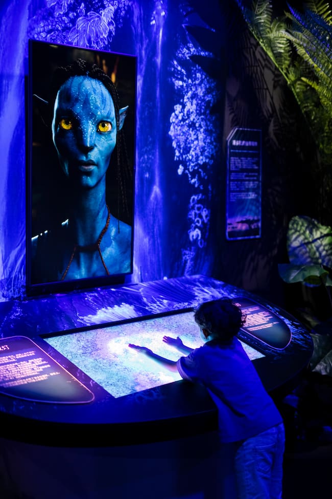 Una parte de 'Avatar: The Experience' en Madrid. / Neon