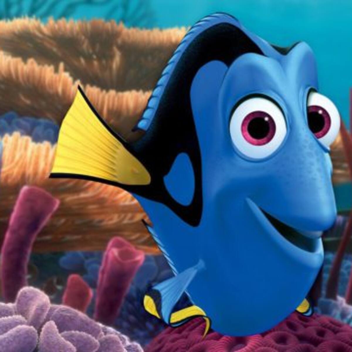 Estamos más cerca de encontrar a Dory