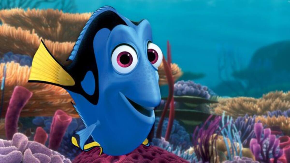 Estamos más cerca de encontrar a Dory