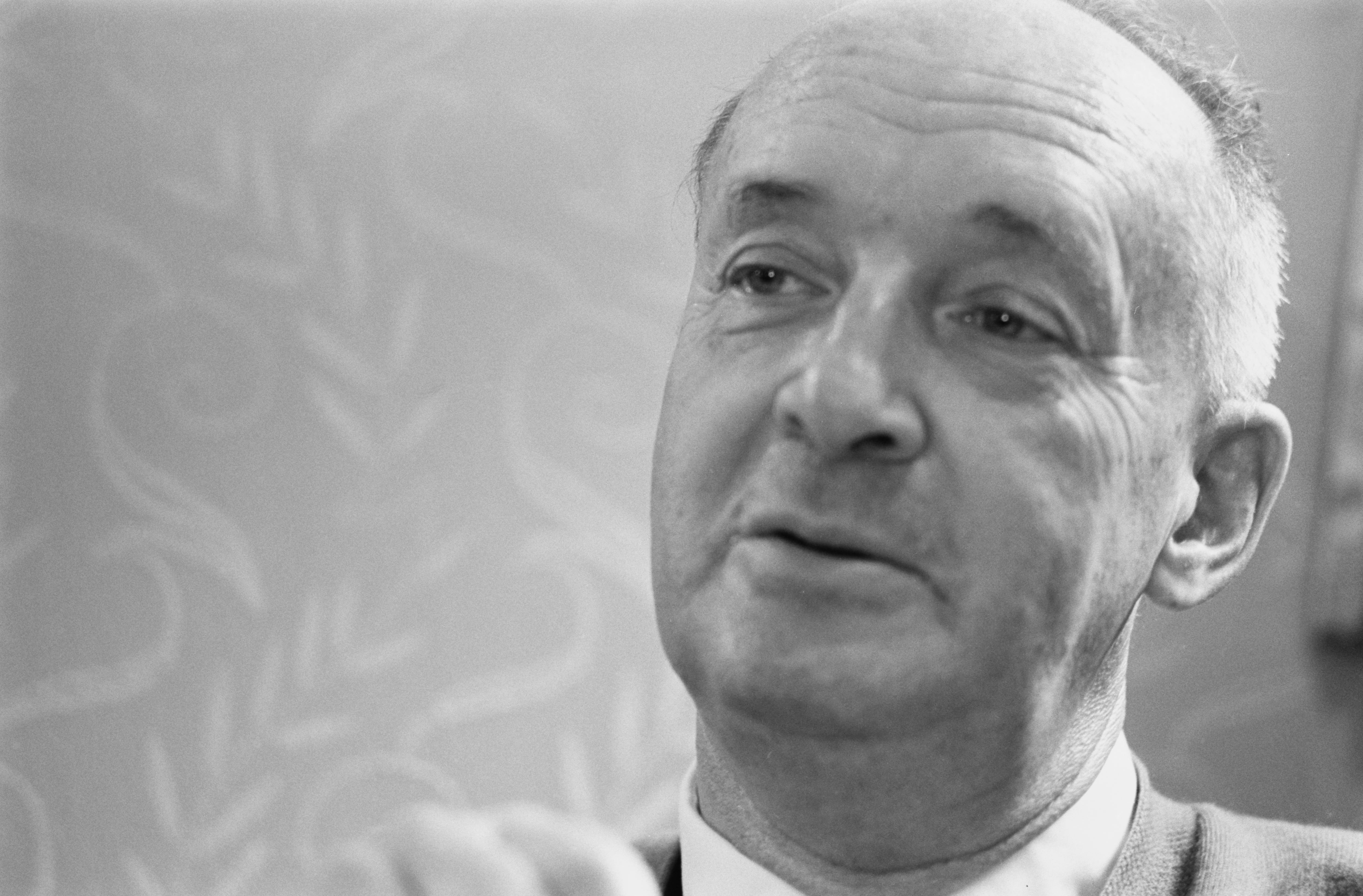 Vladimir Nabokov