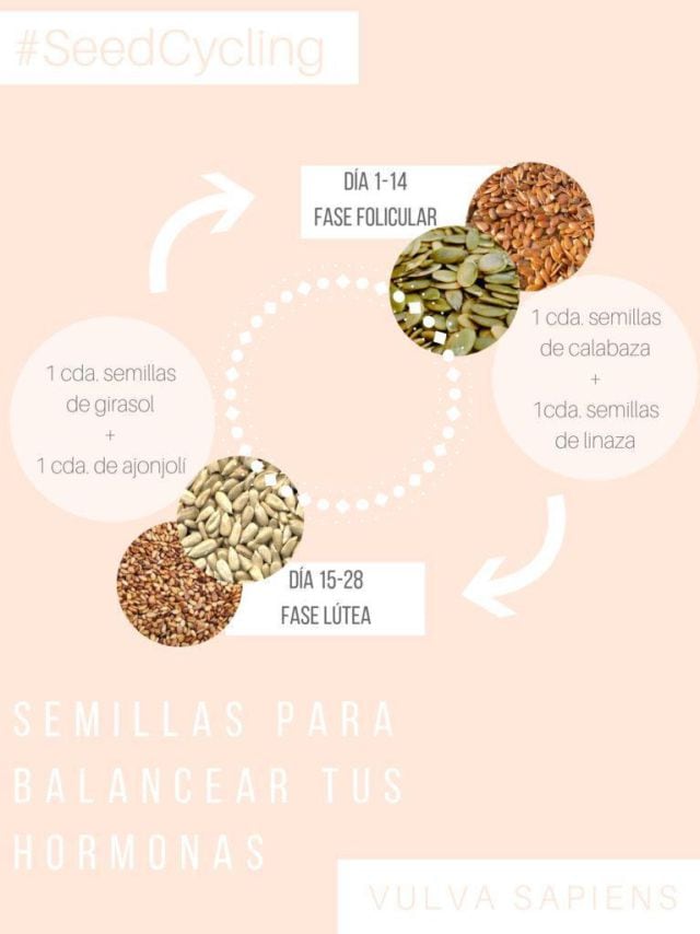 Seed Cycling, regula tu período menstrual con semillas