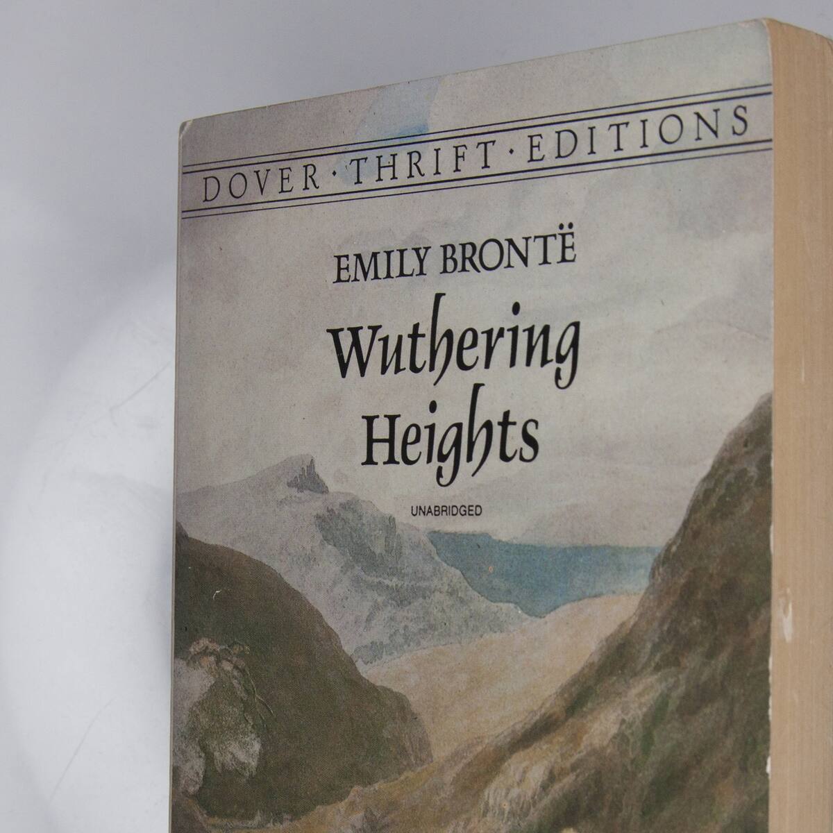 Más libros escritos por Emily Brontë si te gustó la historia de 'Cumbres Borrascosas'