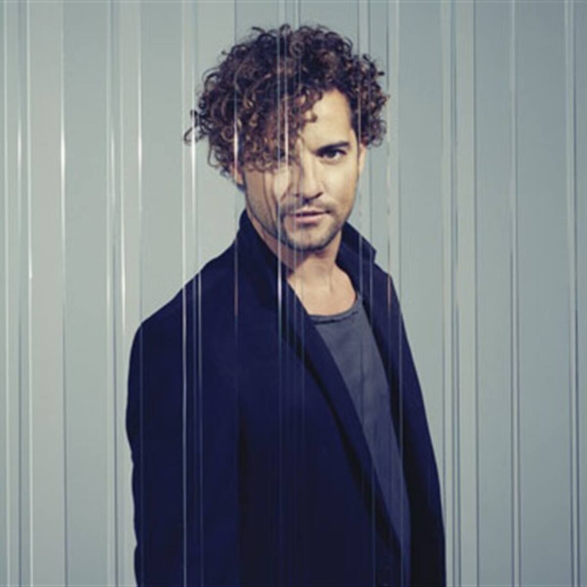 David Bisbal ya no oculta su amor