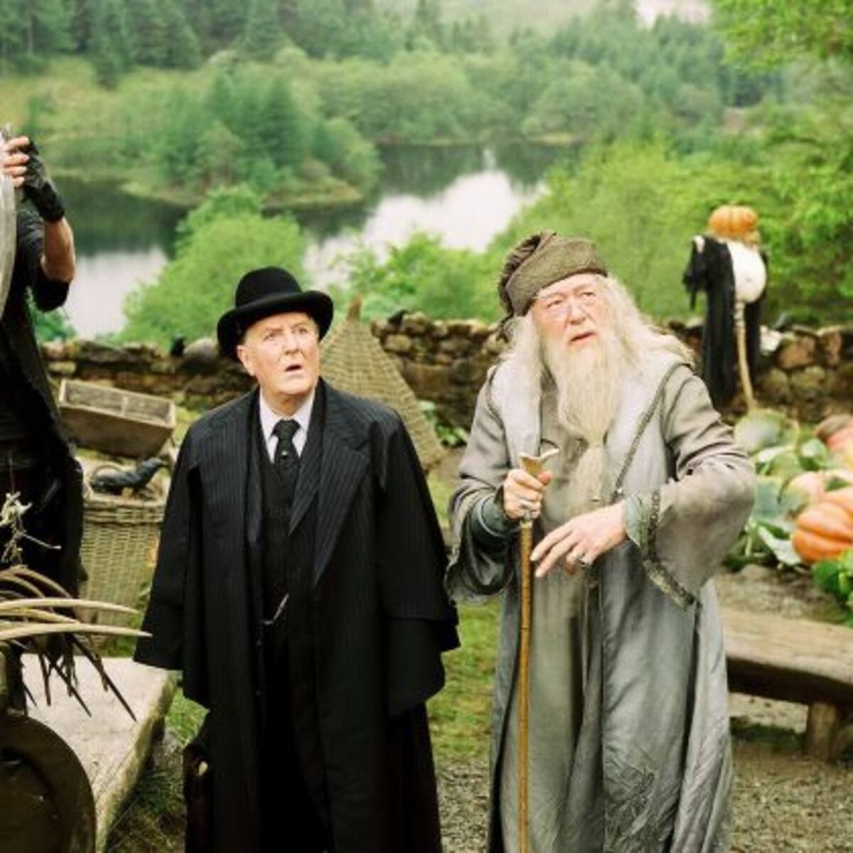 Fallece un querido actor de Harry Potter