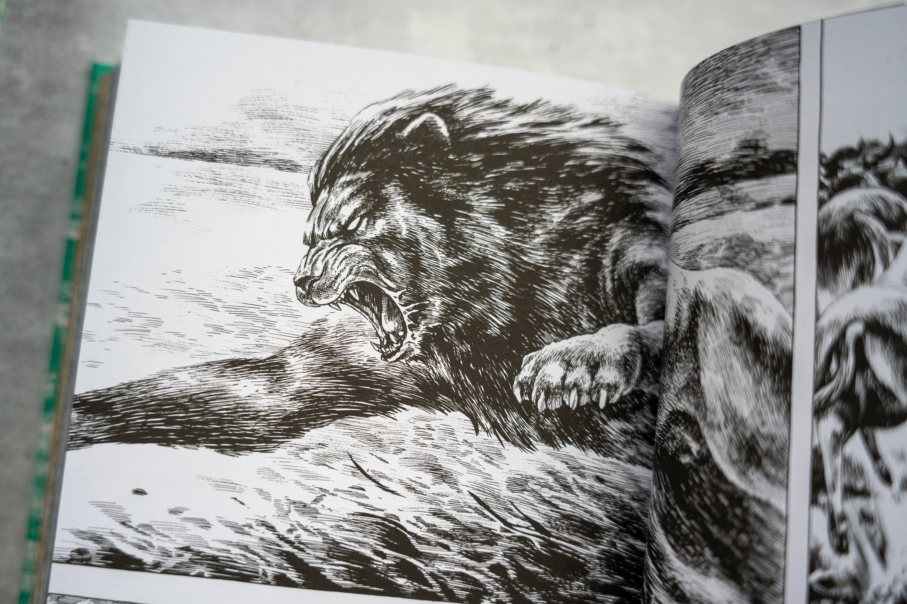 Gon de Norma Editorial