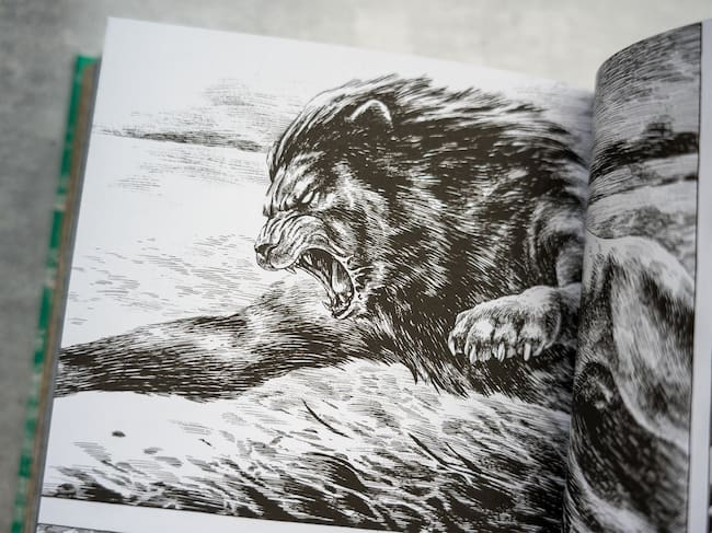 Gon de Norma Editorial