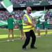 Lo del Betis con Despechá de Rosalía llega ya hasta la seguridad del Benito Villamarín