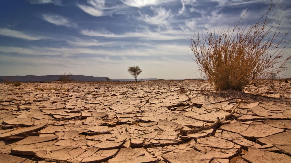 La "muerte silenciosa" del suelo: el recurso que estamos agotando sin verlo