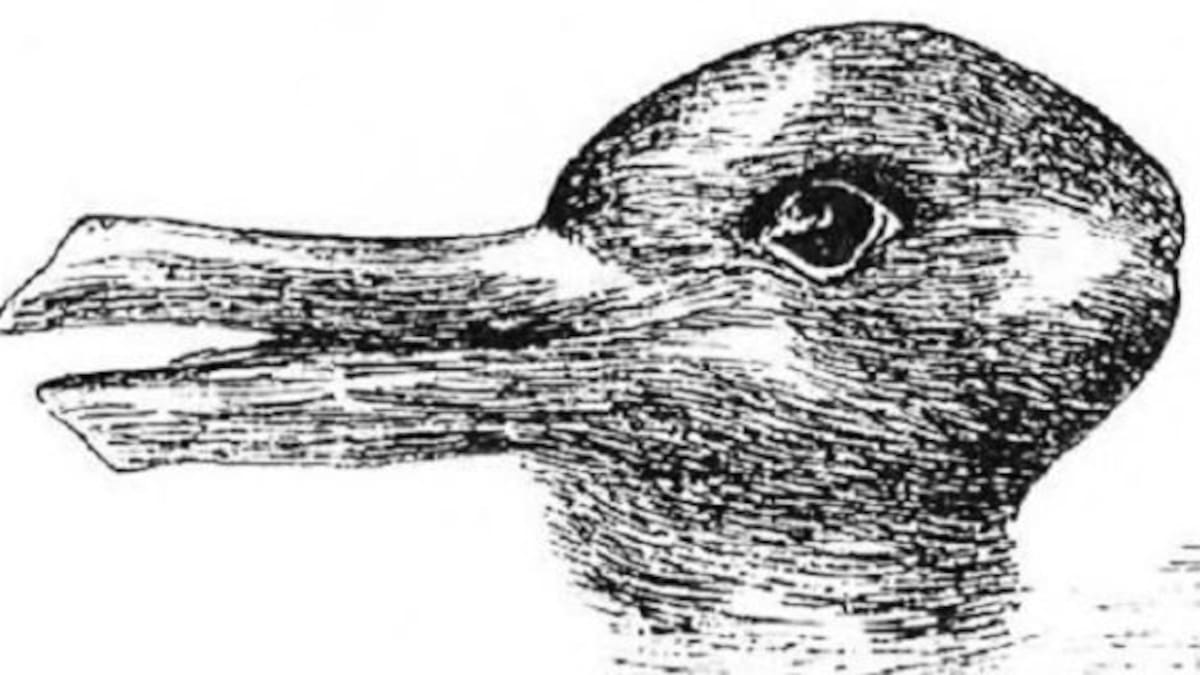 ¿Cuántos animales hay en la imagen?