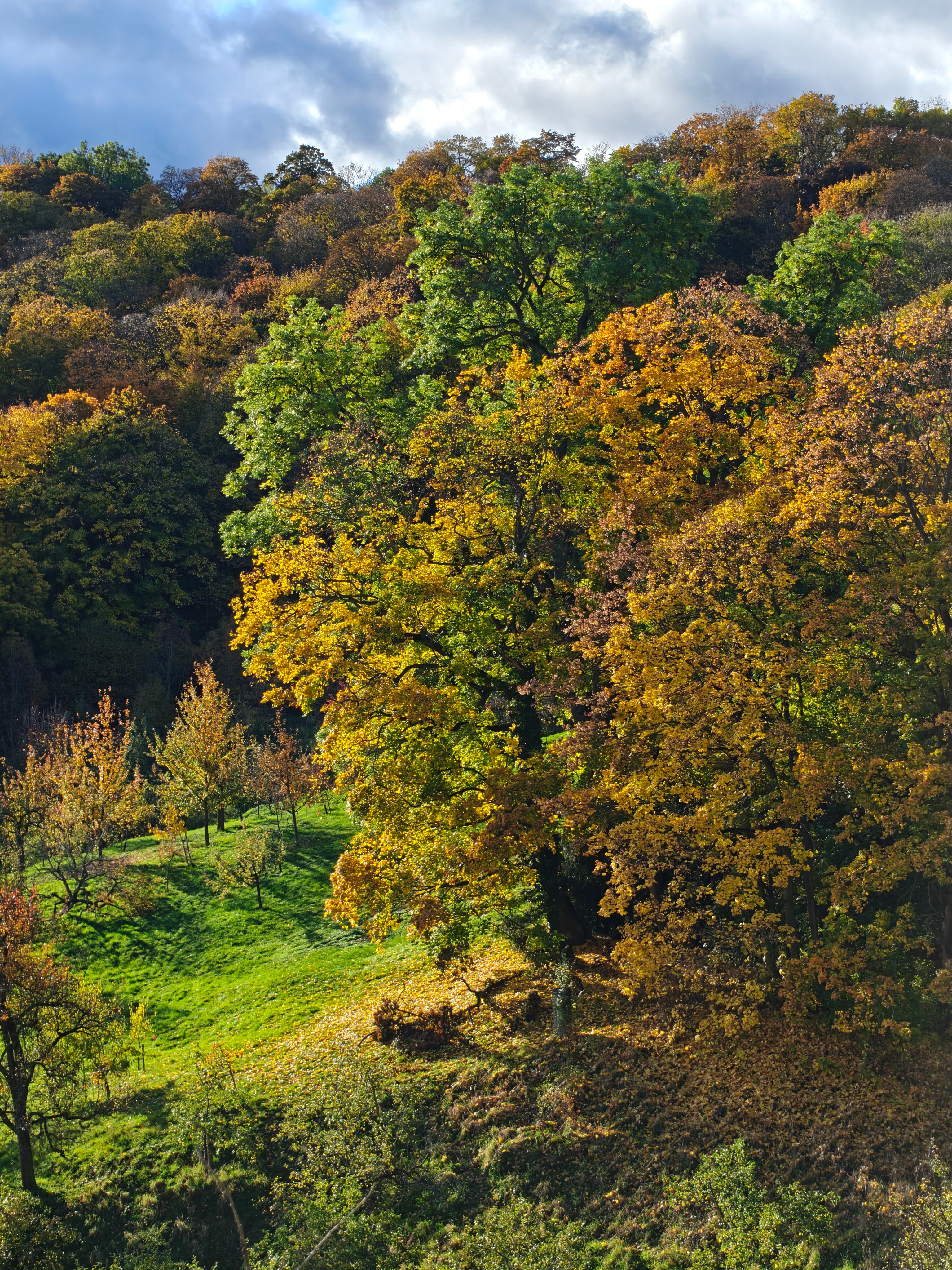 Praga a través de las cámaras de OnePlus 15