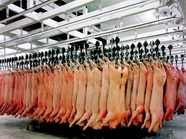 El consumo de carne tiene importantes derivadas éticas, medioambientales y de salud, según los firmantes.