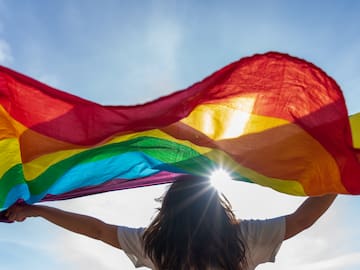 ¿Por qué la bandera LGTBIQ+ es un arcoíris? El significado de cada color