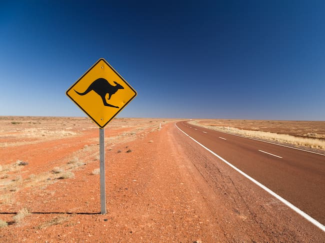 Una señal de advertencia por la presencia de canguros al sur de Australia.