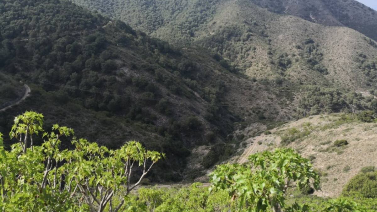 Conoce Querétaro