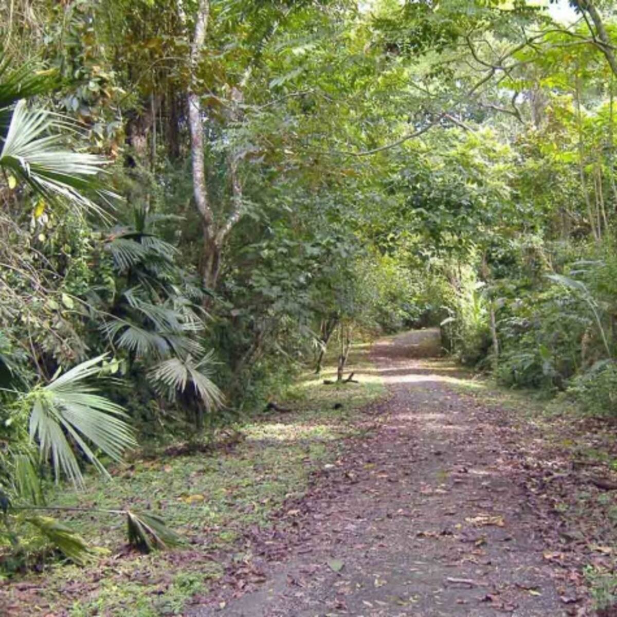 Parques o áreas protegidas que puedes visitar