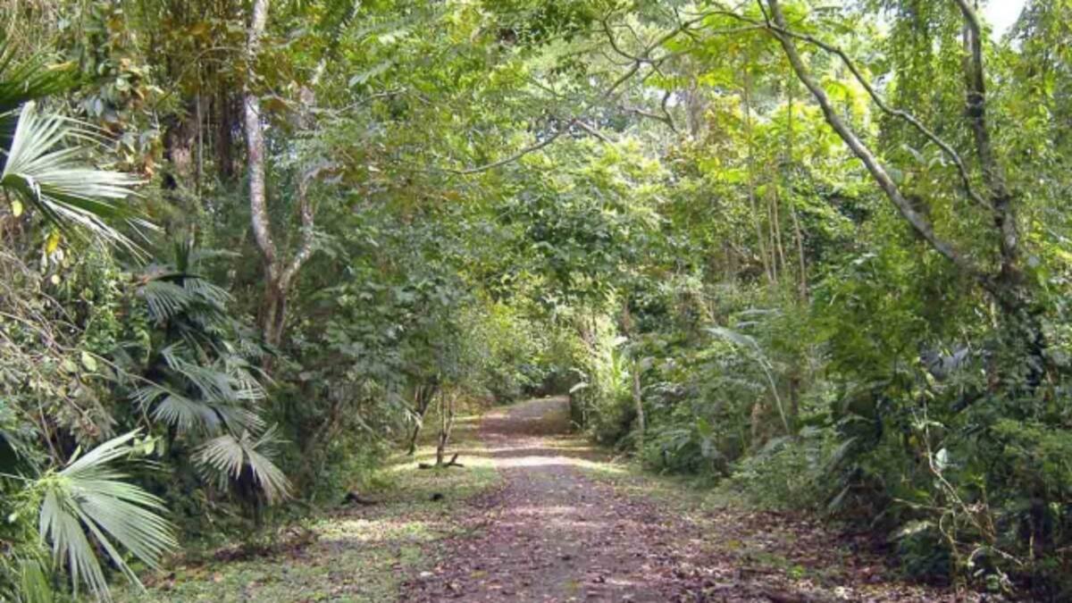Parques o áreas protegidas que puedes visitar