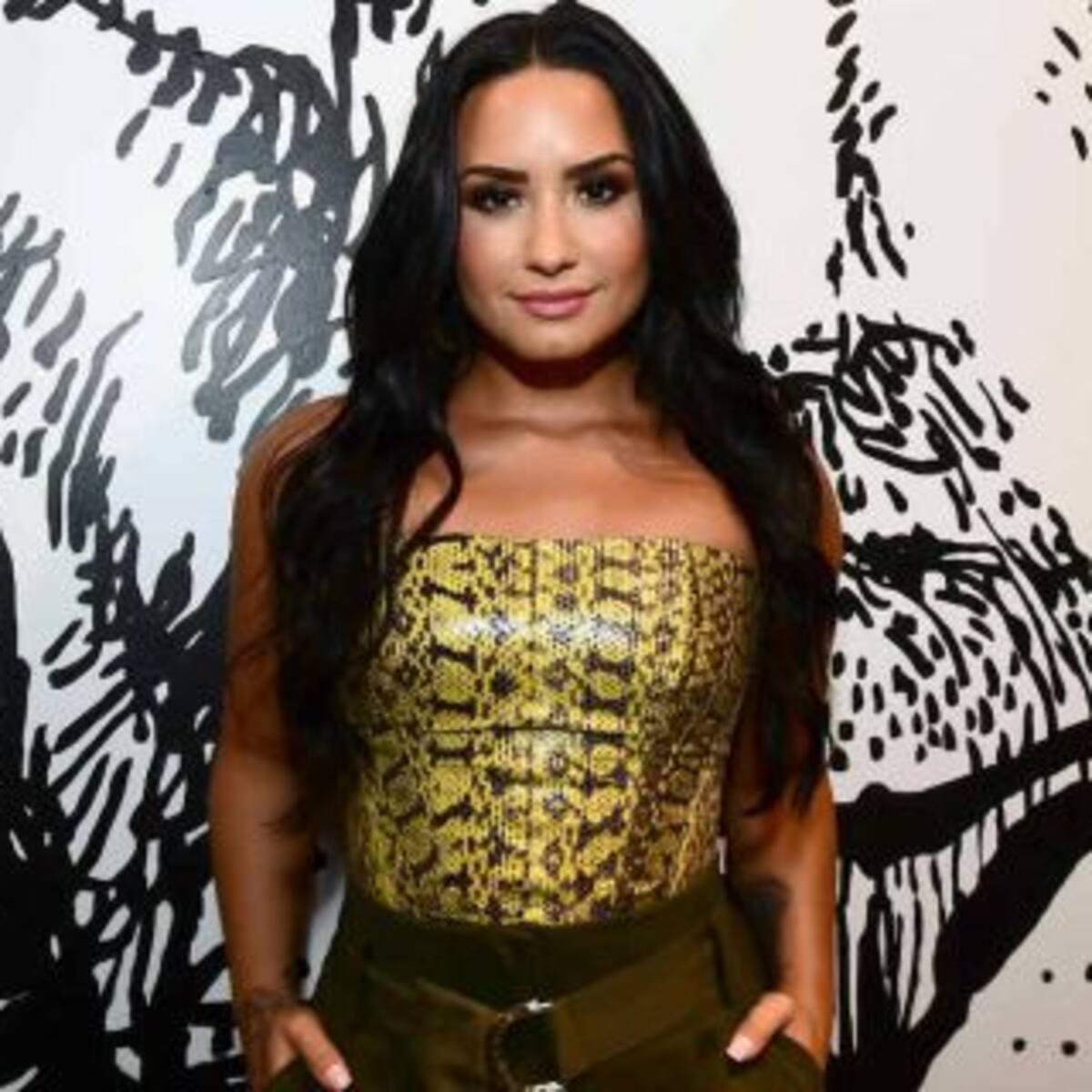 Demi Lovato presentó a su novio en las redes sociales