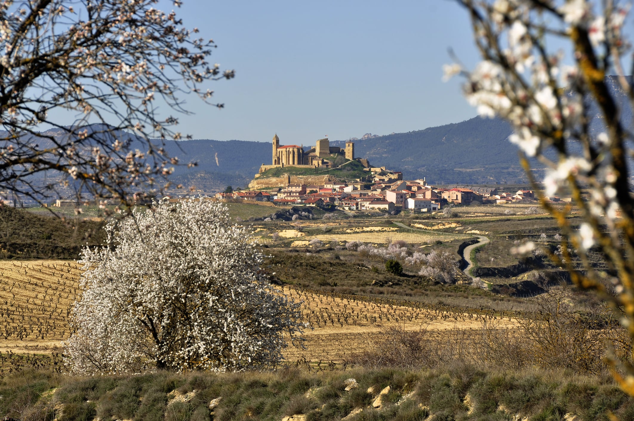 San Vicente de la Sonsierra, La Rioja