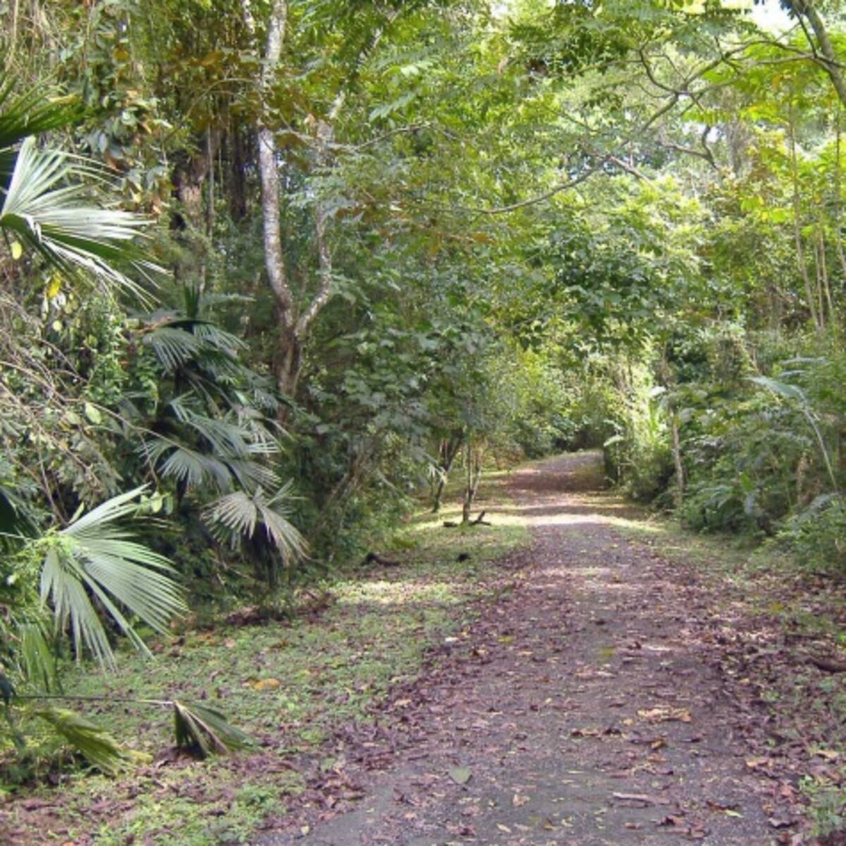 Parques en Panamá