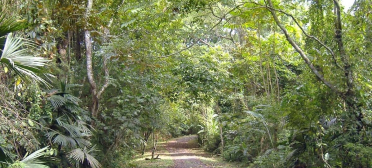 Parque Soberanía