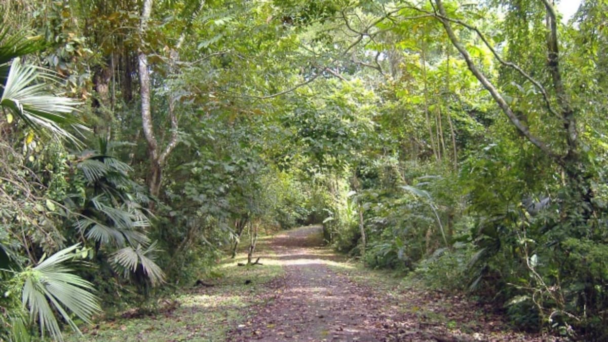 Parques en Panamá