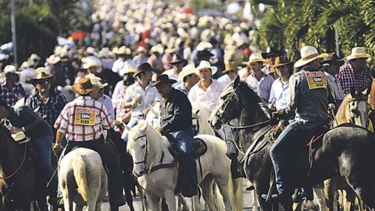 ¿Ocupa un caballo para el Tope de Palmares? Acá le damos opciones