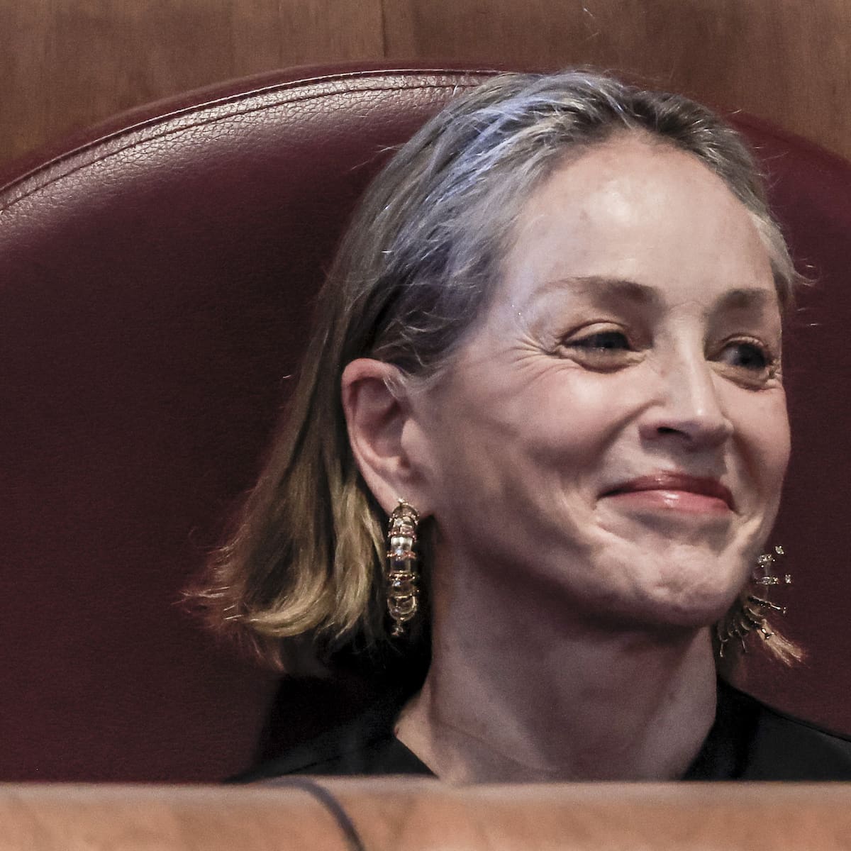 Sharon Stone, a sus 68 años, habla del celibato: "Solo quiero estar con alguien a quien aprecio"