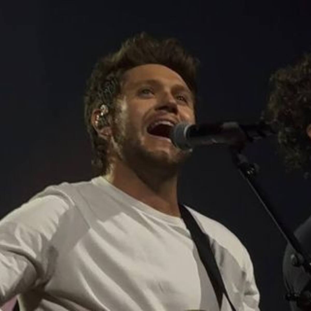 Niall Horan reaparece en vivo con Shawn Mendes y desata la locura en Londres
