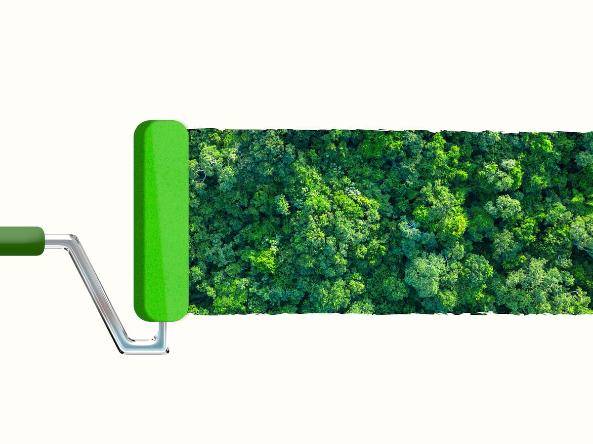 Premio al 'ecopostureo': este es el ganador del año