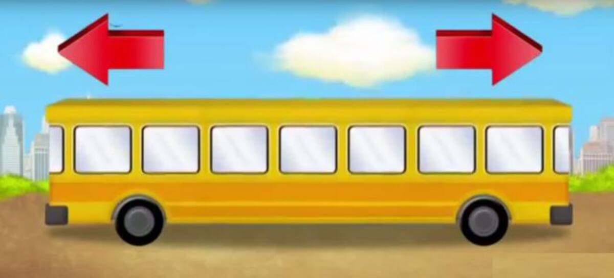 Bus