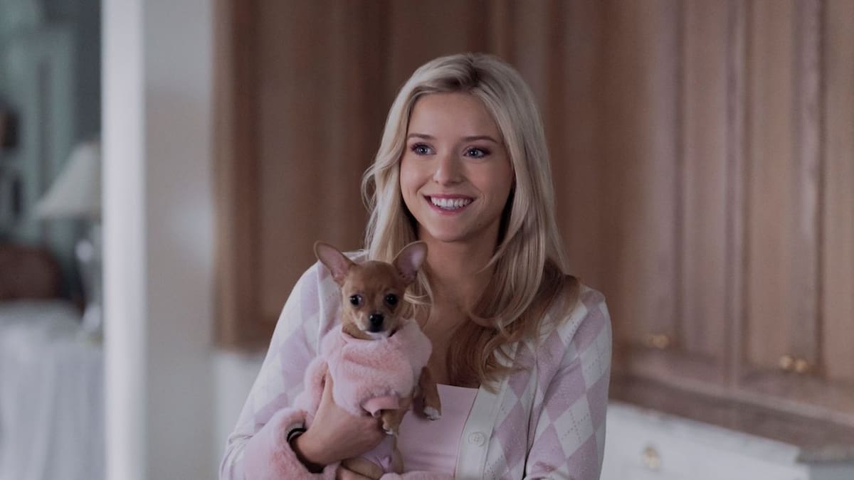 'Elle', la serie precuela de ‘Una rubia muy legal’ llega a Prime Video: cuántos capítulos tiene, reparto y sinopsis