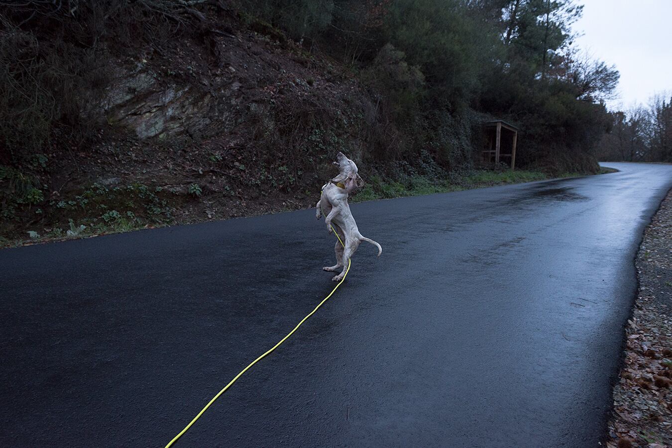 Foto: Ruth Montiel Arias.