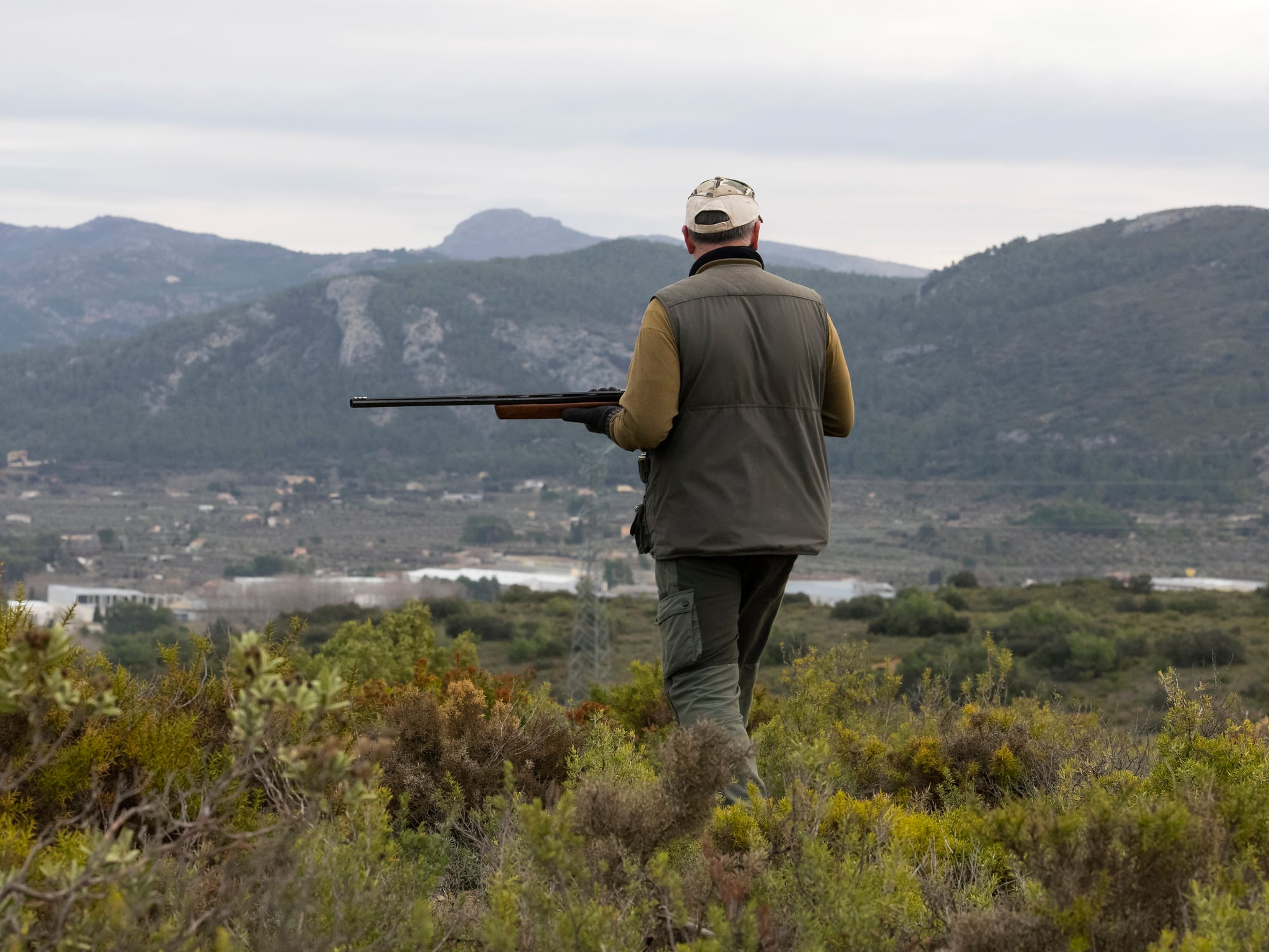 La mayor parte del territorio español es un coto de caza en sus distintas variantes.