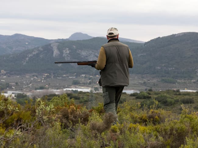 La mayor parte del territorio español es un coto de caza en sus distintas variantes.