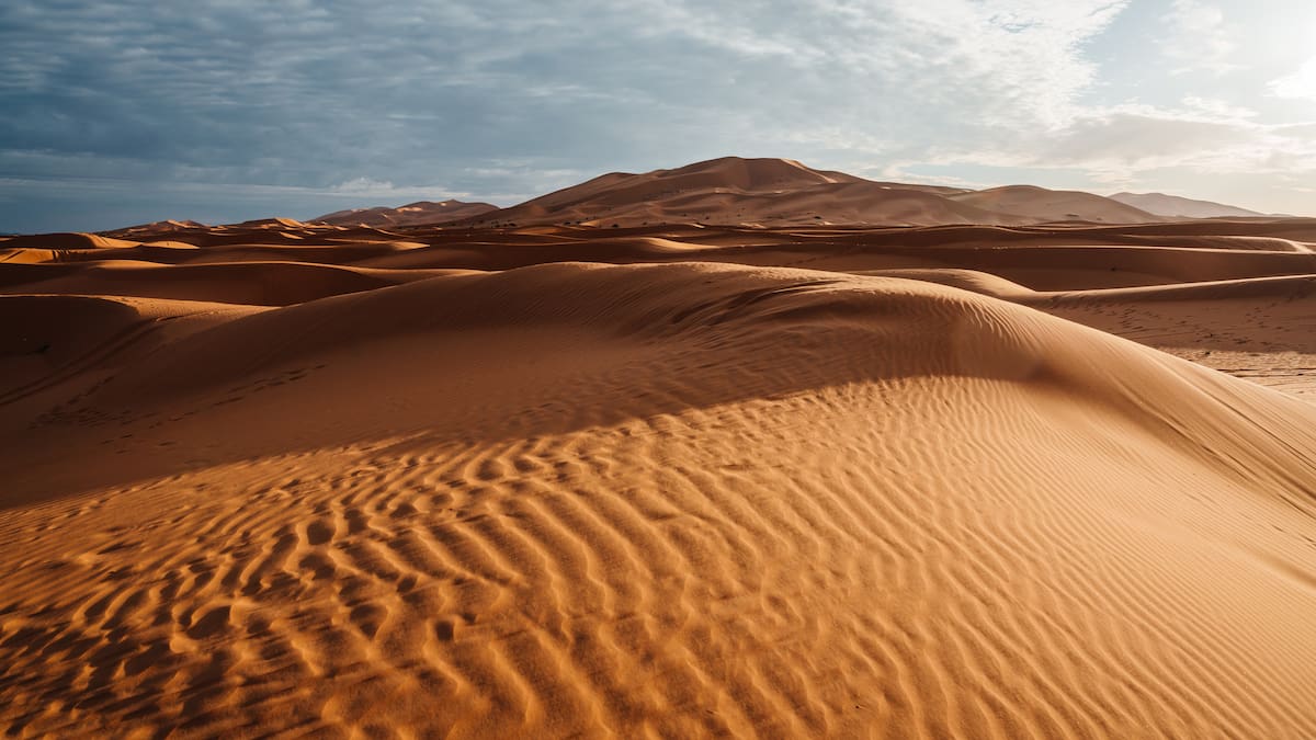El desierto que alimenta a la selva: el increíble viaje de la arena del Sáhara hasta el Amazonas