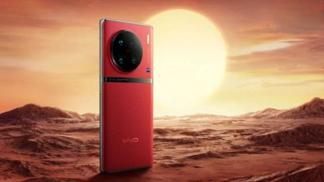 Vivo