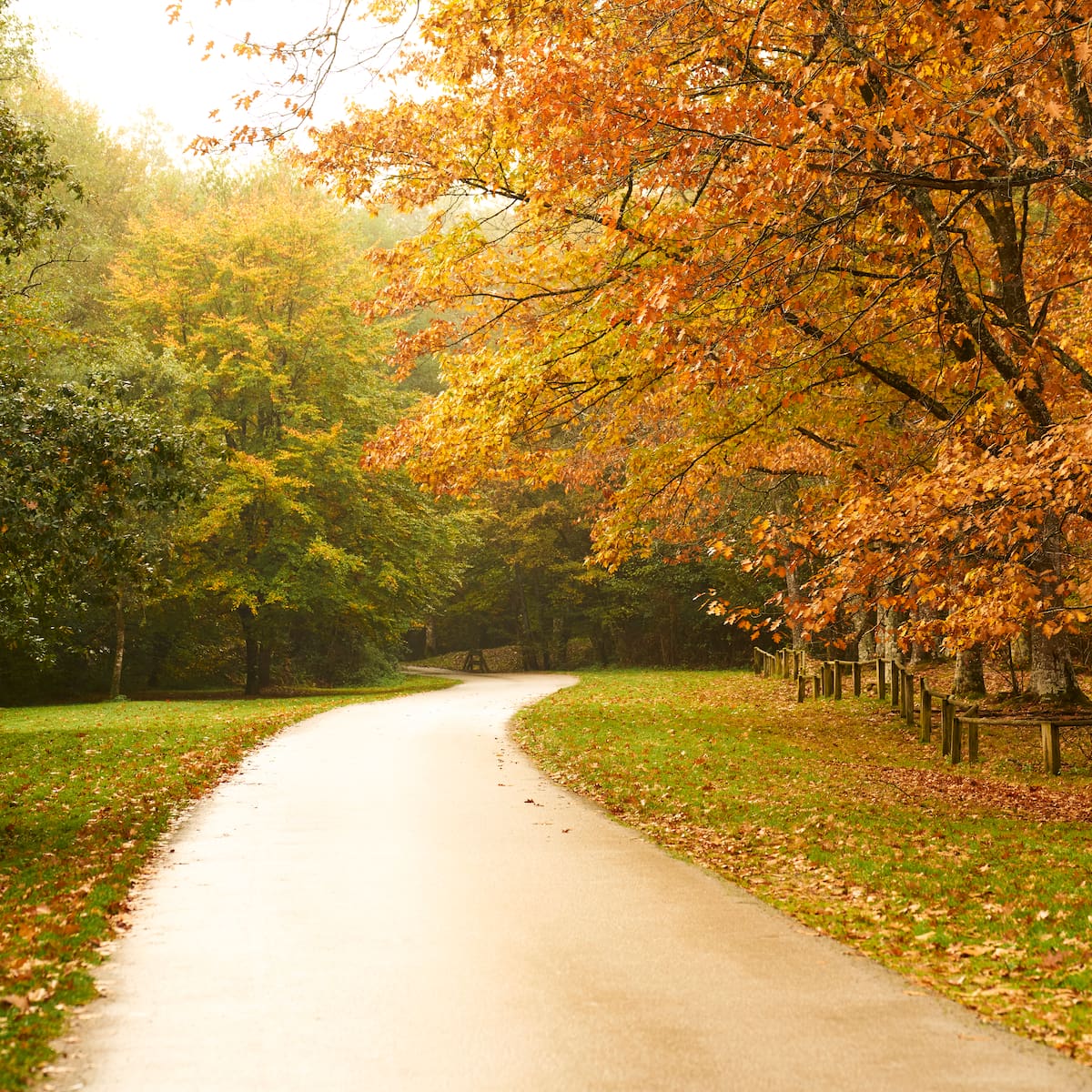 El otoño 2026 ya tiene fecha: cuándo es el equinoccio, qué significa y hasta cuándo durará
