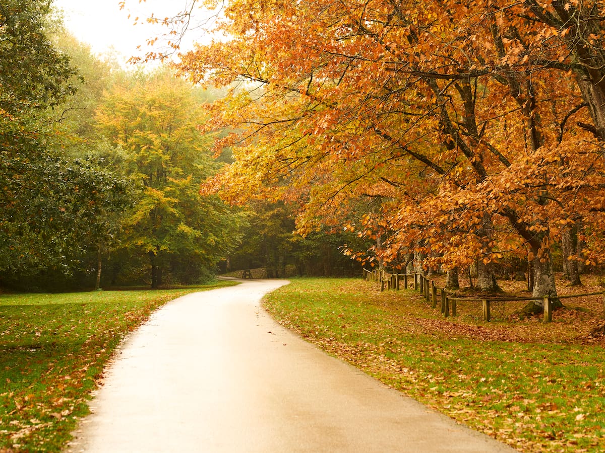 El otoño 2026 ya tiene fecha: cuándo es el equinoccio, qué significa y hasta cuándo durará