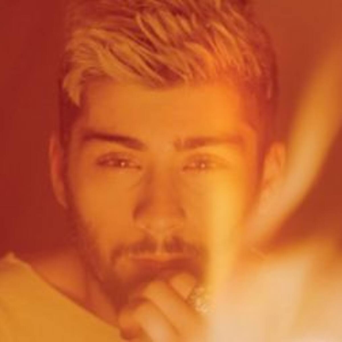 Zayn Malik sufrió un ataque de pánico y canceló un show