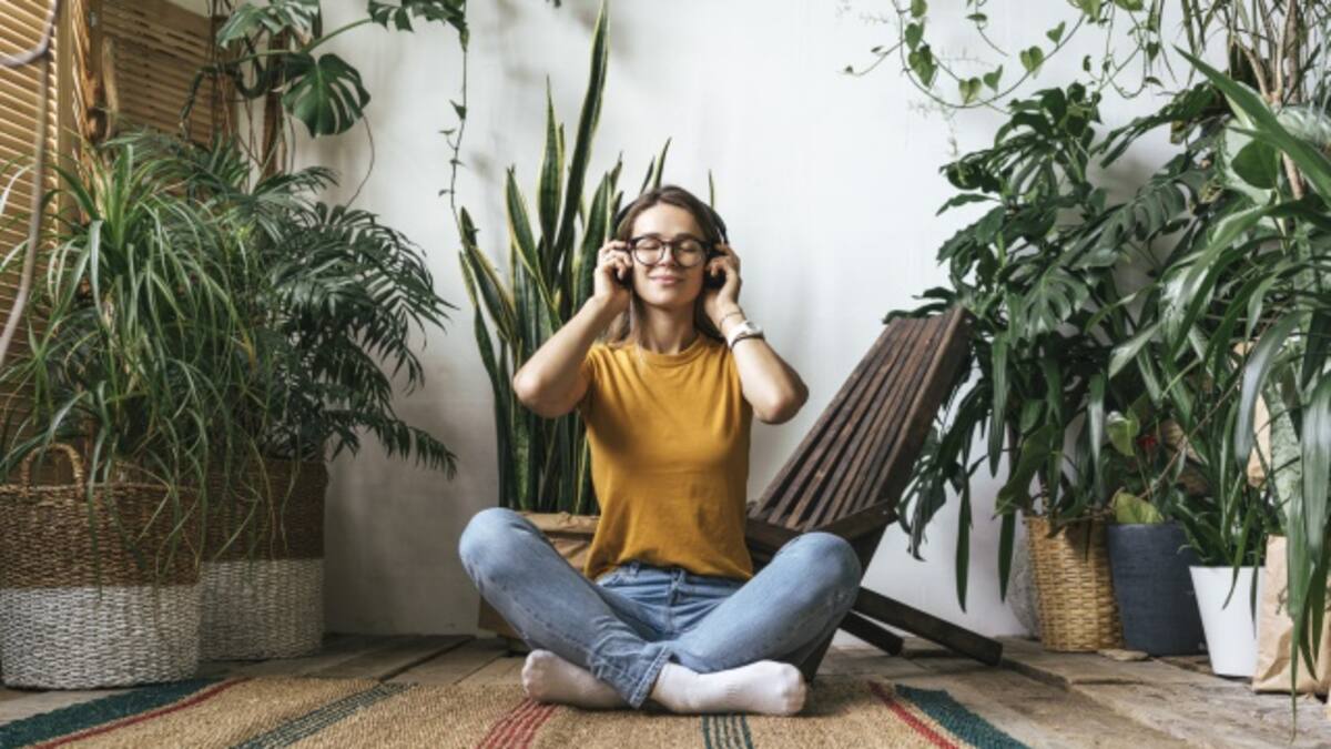 Trucos para cuidar tus plantas