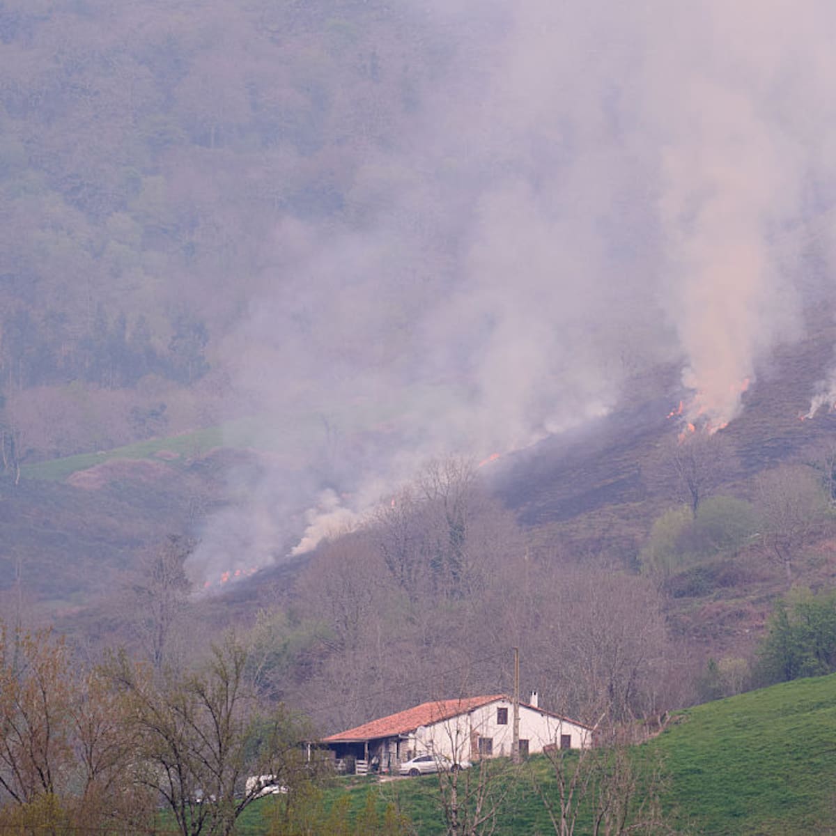 Arde Cantabria: 12.000 hectáreas quemadas en lo que va de año en más de mil incendios, todos provocados