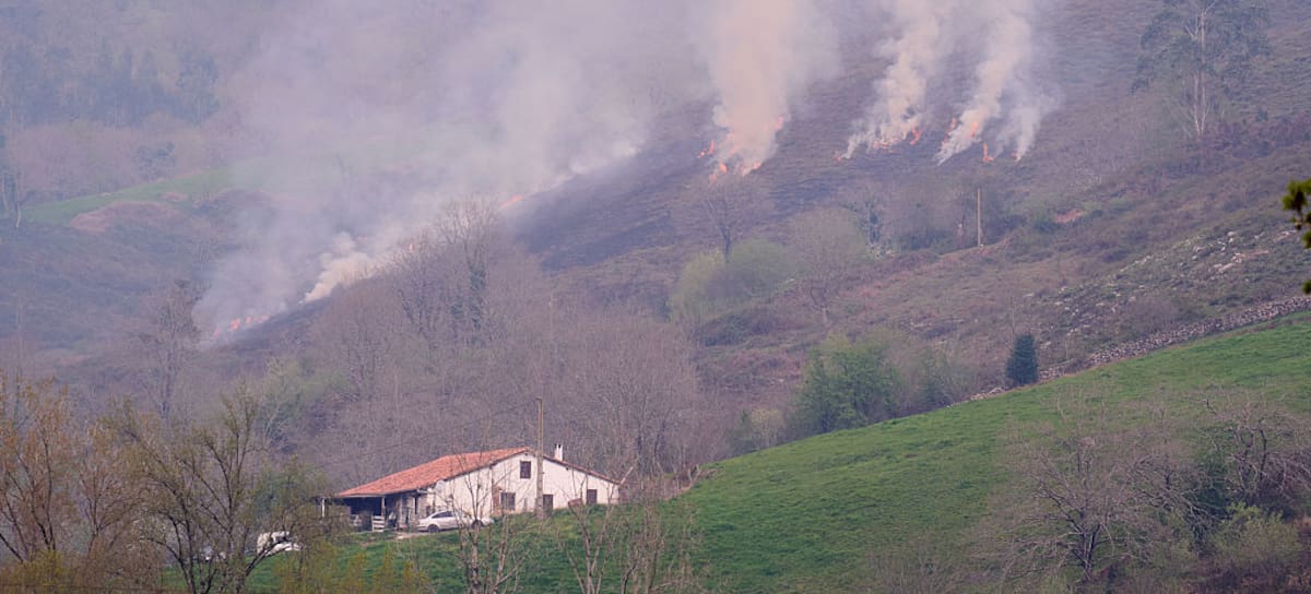 Incendio en el valle de Cabuérniga, el pasado mes de marzo.