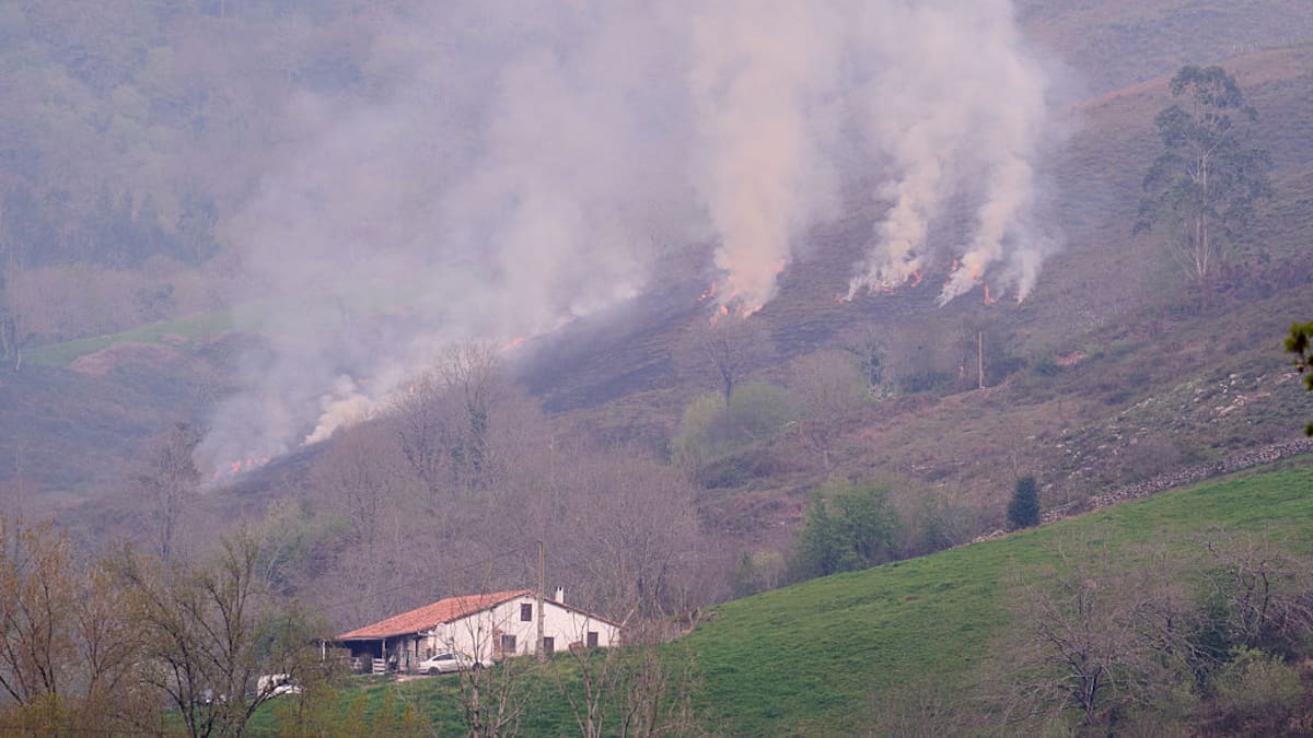 Arde Cantabria: 12.000 hectáreas quemadas en lo que va de año en más de mil incendios, todos provocados