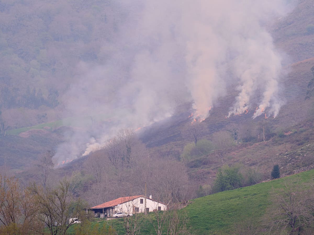 Arde Cantabria: 12.000 hectáreas quemadas en lo que va de año en más de mil incendios, todos provocados