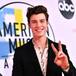 Shawn Mendes anuncia Wonder: The Experience, su concierto online, gratuíto y benéfico