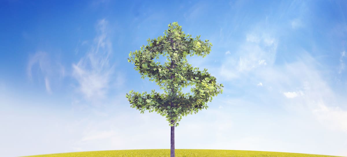 Apostar por el medio ambiente también es rentable económicamente.