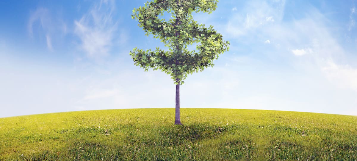 Apostar por el medio ambiente también es rentable económicamente.