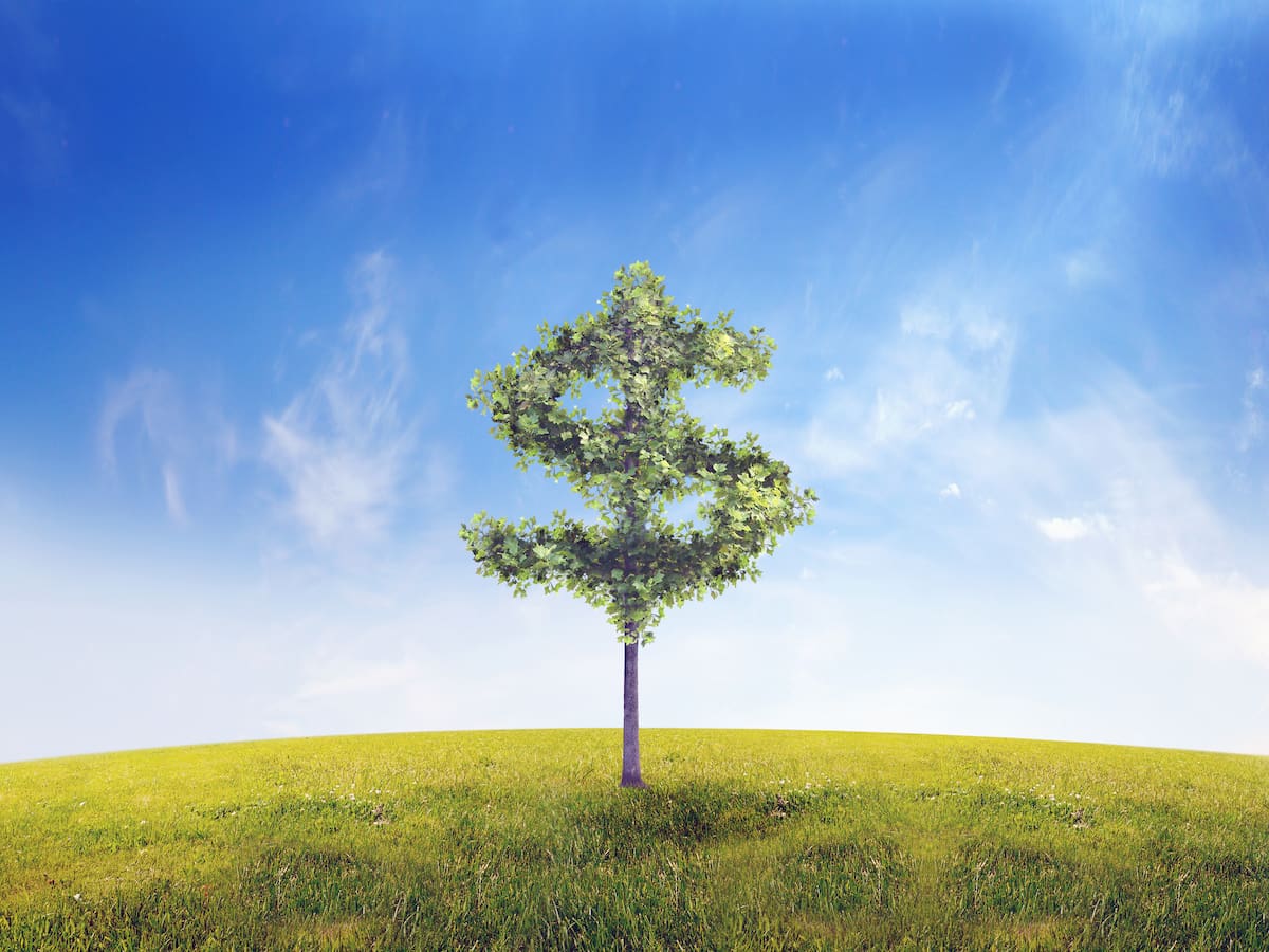 Invertir en el medio ambiente renta: cada dólar puede generar 15 de beneficio