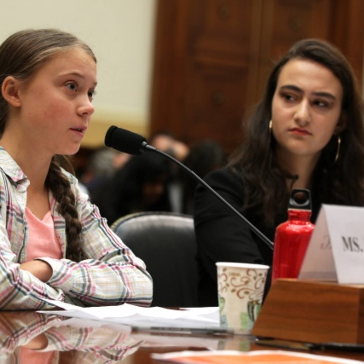 Conoce más a Greta Thunberg