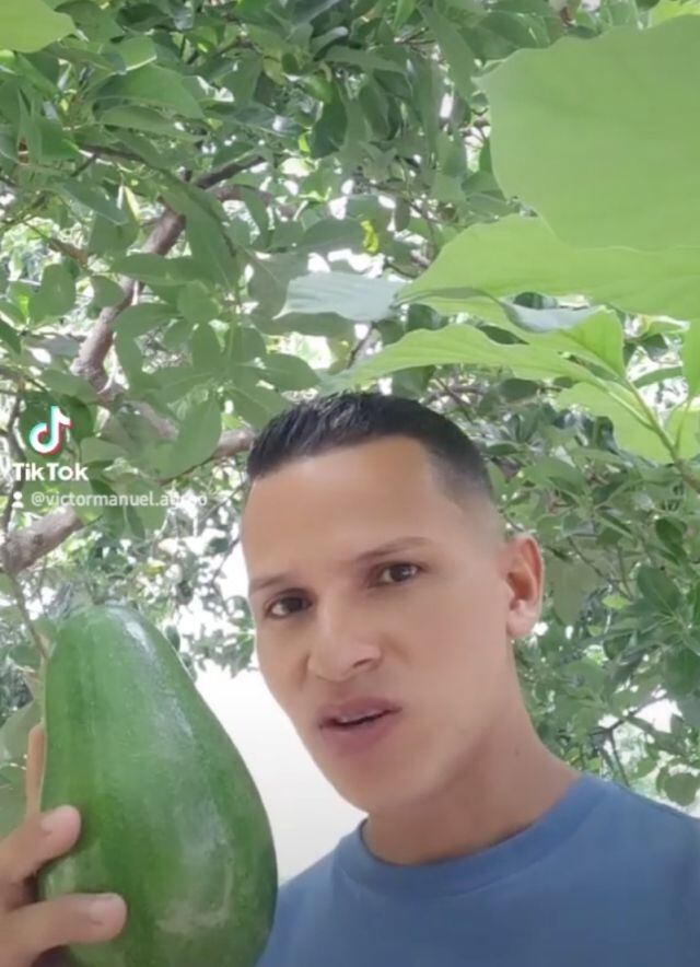 Joven agricultor enseña en TikTok cómo hacer tu huerto en casa